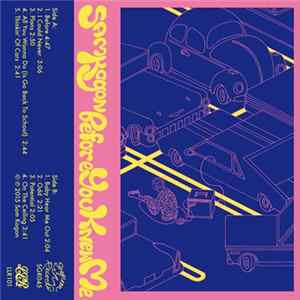 Download Sam Kogon - Before You Knew Me
