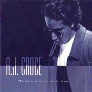 Download A.J. Croce - That's Me In The Bar