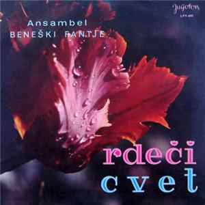Download Ansambel Beneški Fantje - Rdeči Cvet