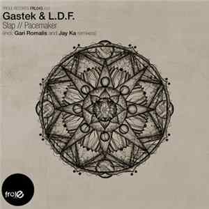 Download Gastek & L.D.F. - Slap