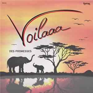 Download Voilaaa - Des Promesses