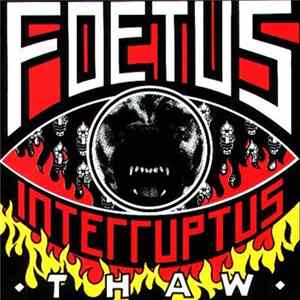 Download Foetus Interruptus - Thaw