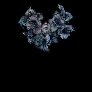 Download A Lot Like Birds - Divisi