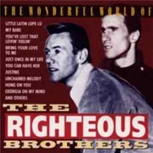 Download The Righteous Brothers - The Wonderful World Of The Righteous Brothers - 22 Golden Hits