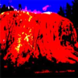 Download Consistency Nature - Lamb's Breath