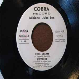 Download Privilege - Fool Dream