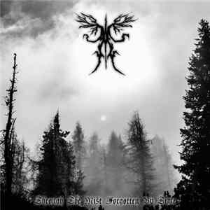 Download Ancient Boreal Forest - Through The Mist Forgotten By Time