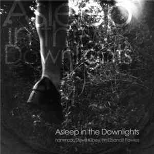 Download Hammock / Steve Kilbey / timEbandit Powles - Asleep In The Downlights
