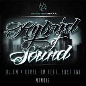 Download DJ Em & Karpe - DM Feat. Past One - Hybrid Of Sound