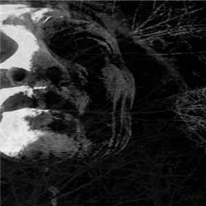 Download Insidious Omen - To Cast The Last Shadow