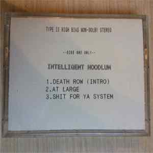 Download Intelligent Hoodlum - At Large / Shit For Ya System