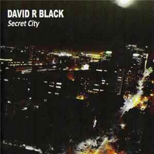 Download David R Black - Secret City