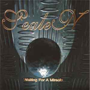 Download Sealen - Waiting For A Miracle