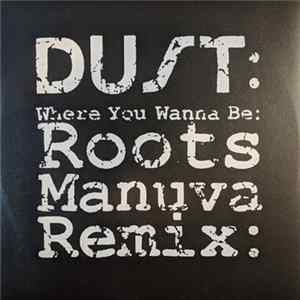 Download Dust - Where You Wanna Be (Roots Manuva Remix)