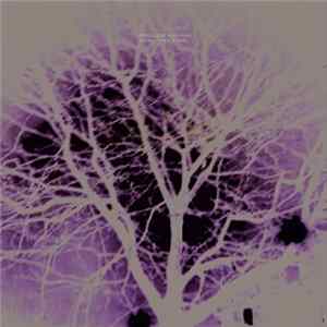 Download Lovesliescrushing - Shiny Tiny Stars