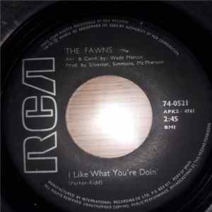 Download The Fawns - I Like What You're Doin' / Problem Child