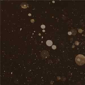 Download Alaskan Night Bears - Champion Sound