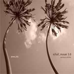 Download Various - Schall Mauer 3.0