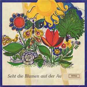 Download Wetzlarer Kinderchor - Seht Die Blumen Auf Der Au