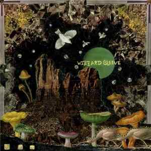 Download Wizzard Sleeve - Make The World Go Away