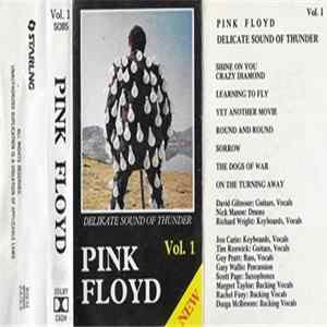 Download Pink Floyd - Delicate Sound Of Thunder Vol. 1