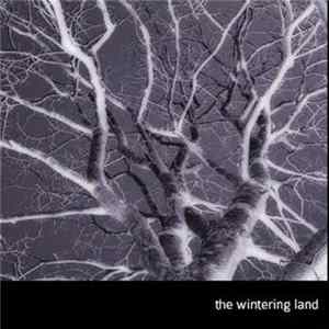 Download Savaran - The Wintering Land