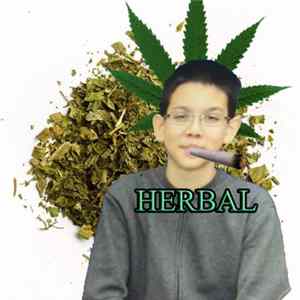 Download Meméster - Herbal