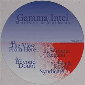 Download Gamma Intel - Motives & Methods