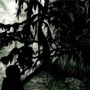 Download Mount Eerie - Black Wooden Ceiling Opening