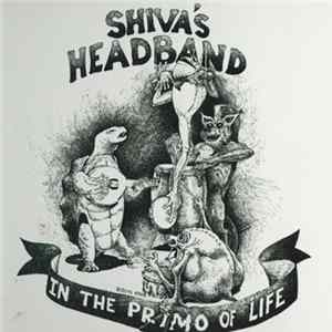 Download Shiva's Headband - In The Primo Of Life