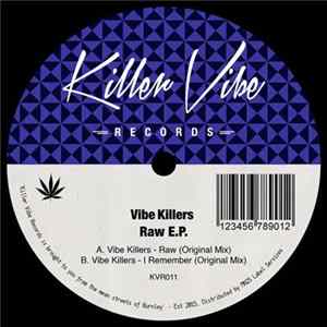 Download Vibe Killers - Raw EP