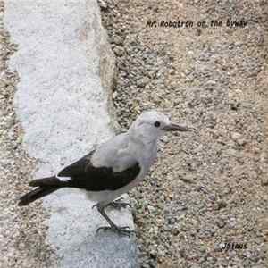Download Jminus - Mr. Robotron In The Byway