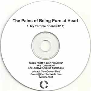 Download The Pains Of Being Pure At Heart - My Terrible Friend