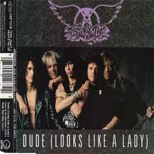 Download Aerosmith - Dude (Looks Like A Lady)
