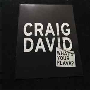 Download Craig David - What's Your Flava?