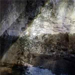 Download Imaginary Forces - Enumeration Of The Things And Beings Lost On The Way