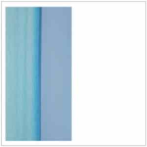 Download Domenico Sciajno | Gene Coleman - Diospyros