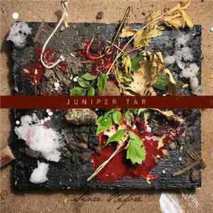 Download Juniper Tar - Since Before