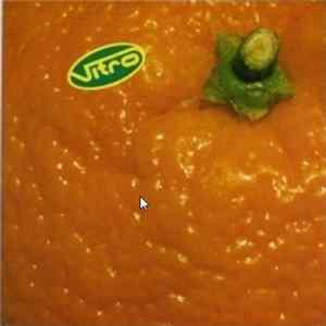 Download Vitro - Orange - The Mixes
