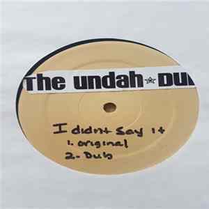 Download Undah Dub - I Didn't Say It