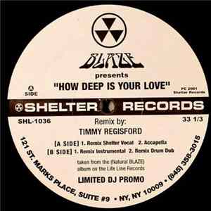 Download Blaze - How Deep Is Your Love