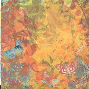 Download Foom - Surface Noise And Imperfections