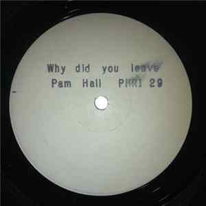 Download Pam Hall - Why Did You Leave
