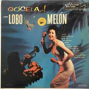 Download Lobo Y Melon - Gocela!