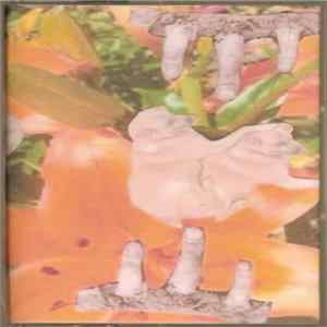 Download Flangedconfection Auditory Antics - The Vrroom Awakenns