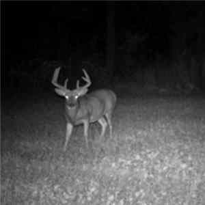 Download The Book-Burners - Wisconsin