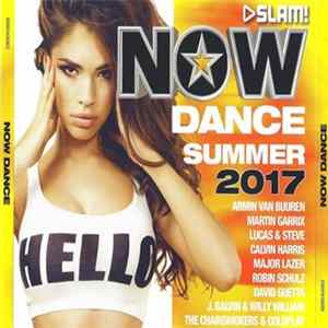 Download Various - Slam! Now Dance Summer 2017