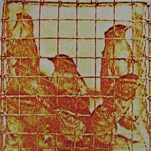 Download Martyn Bates - Americas Dissonance