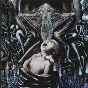 Download Scald - Born With Teeth