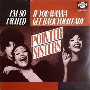 Download Pointer Sisters - I'm So Excited / If You Wanna Get Back Your Lady